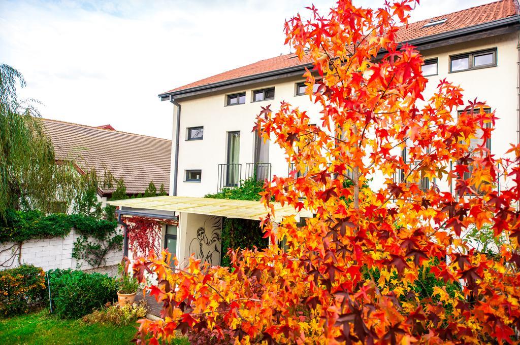 May Residence Dumbravita  Exterior photo