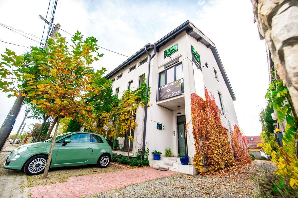 May Residence Dumbravita  Exterior photo